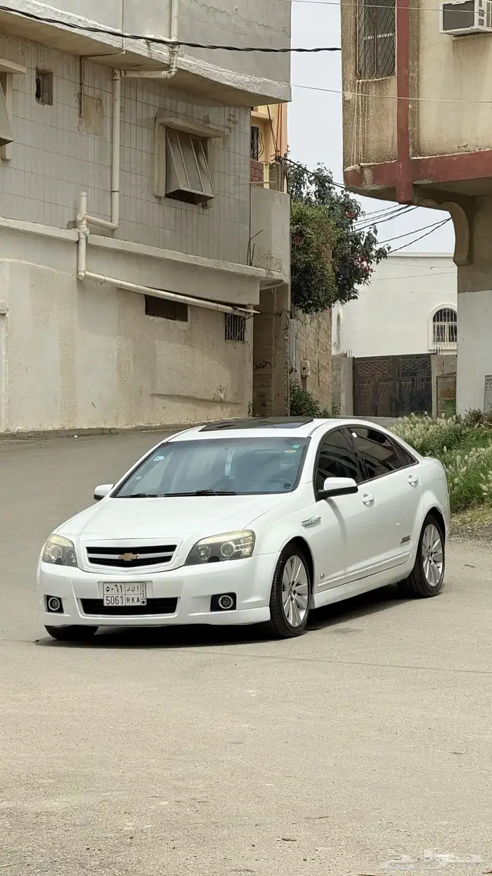 كابرس 2009ss بودي بلد 5