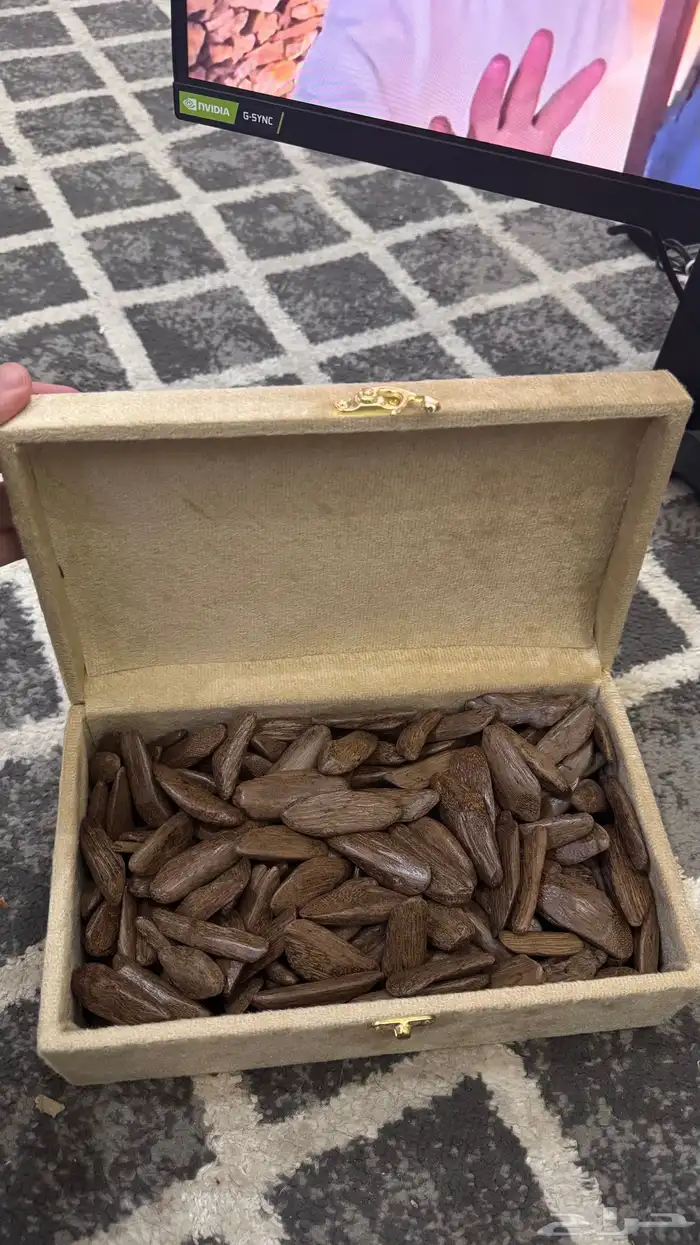 موروكي دبل سوبر 1