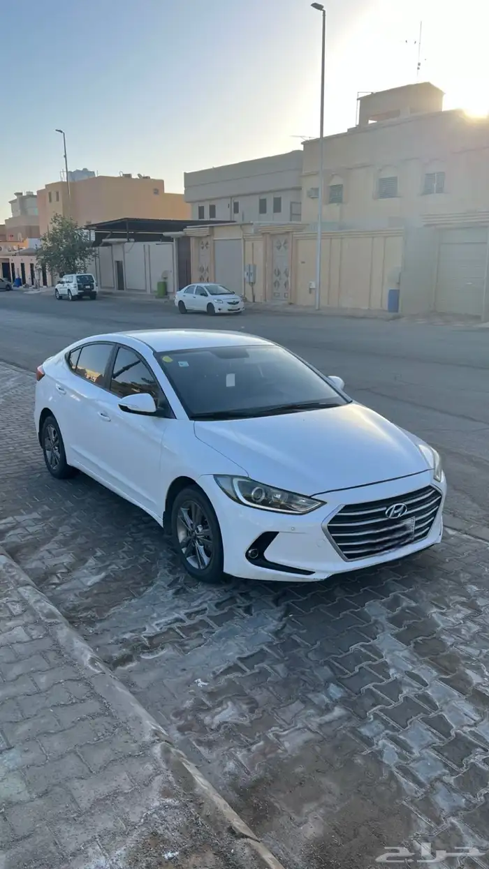النترا 2017 2.0 13