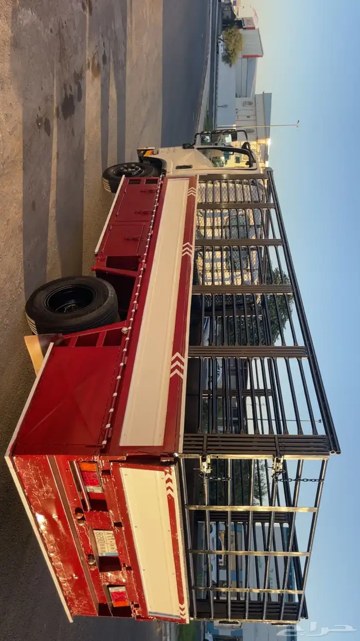 دينا 7