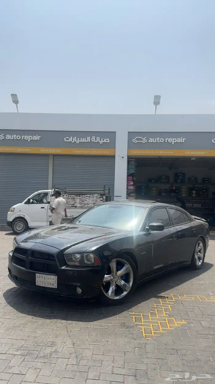 بودي كت ار تي 2014 2