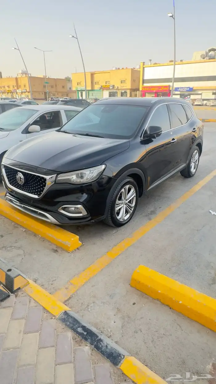mg hs 2020 0
