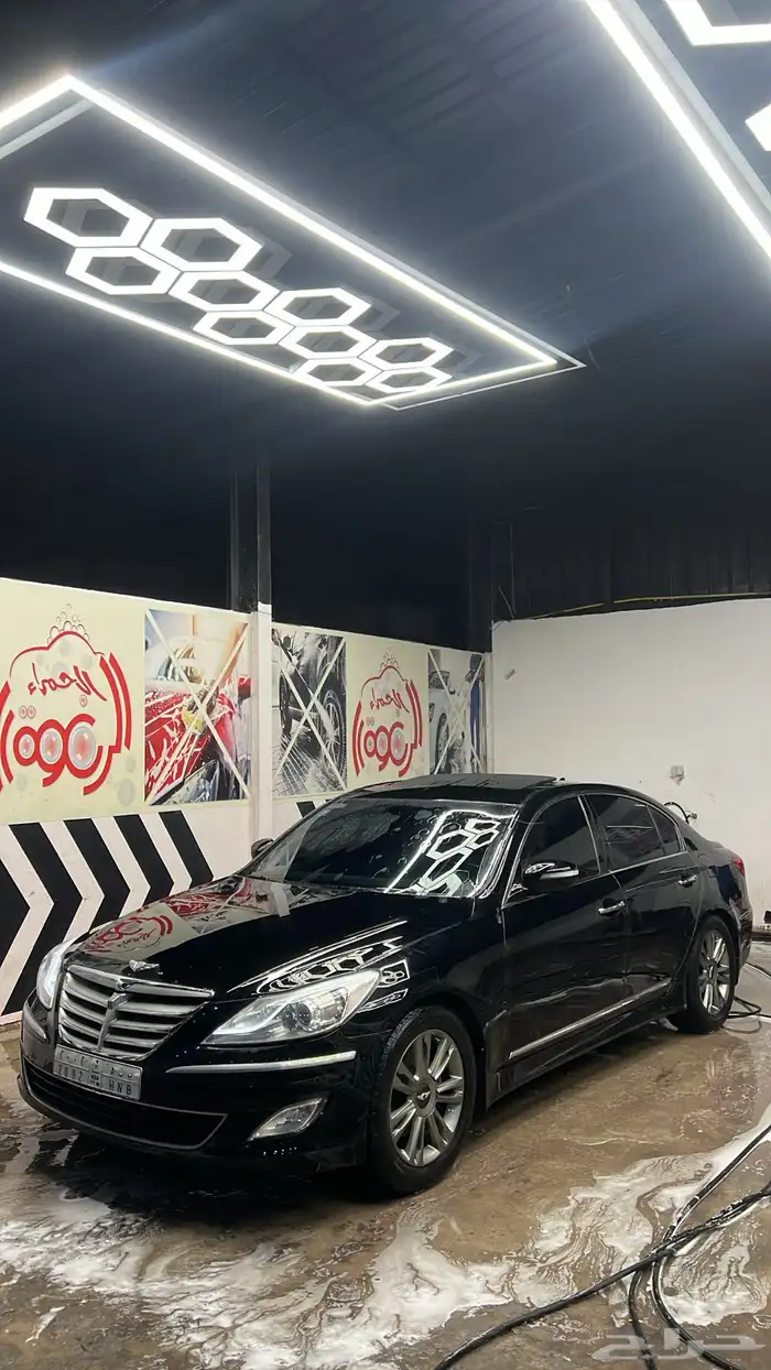 جنسس 2014 6