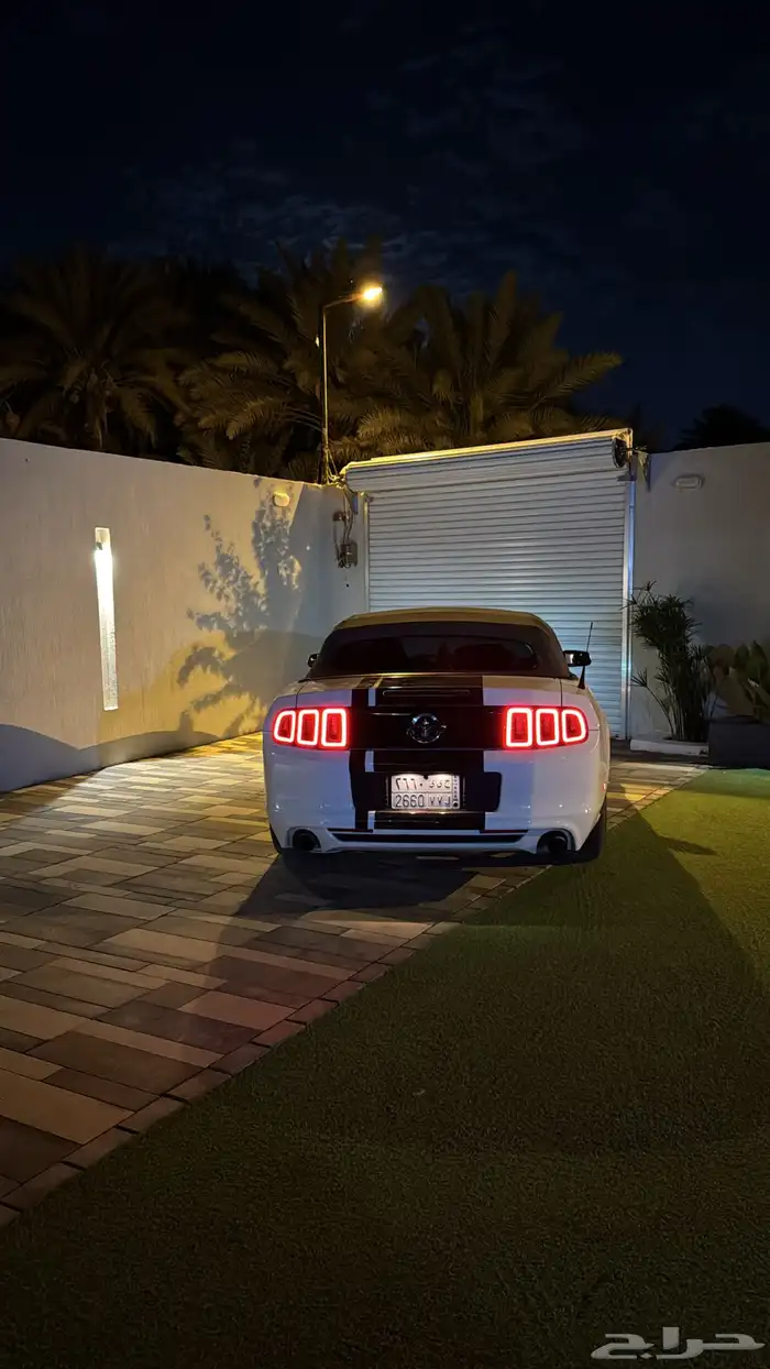 موستنق2014 0