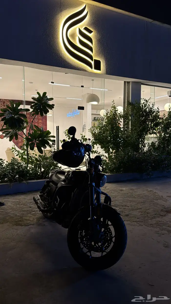 هارلي ديفيدسون ستريت رود 750 5