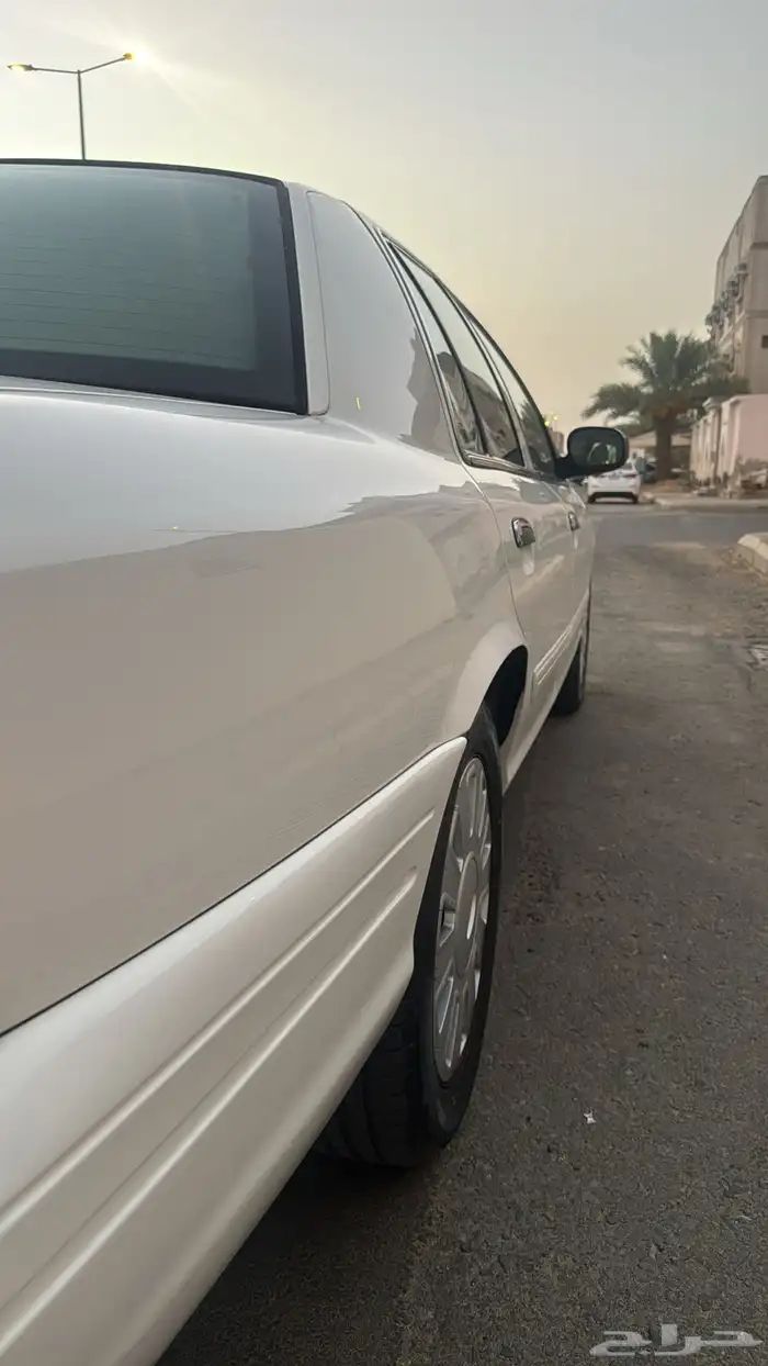 تم البيع 8