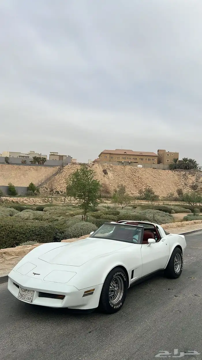 كورفيت 1981 للايجار 5