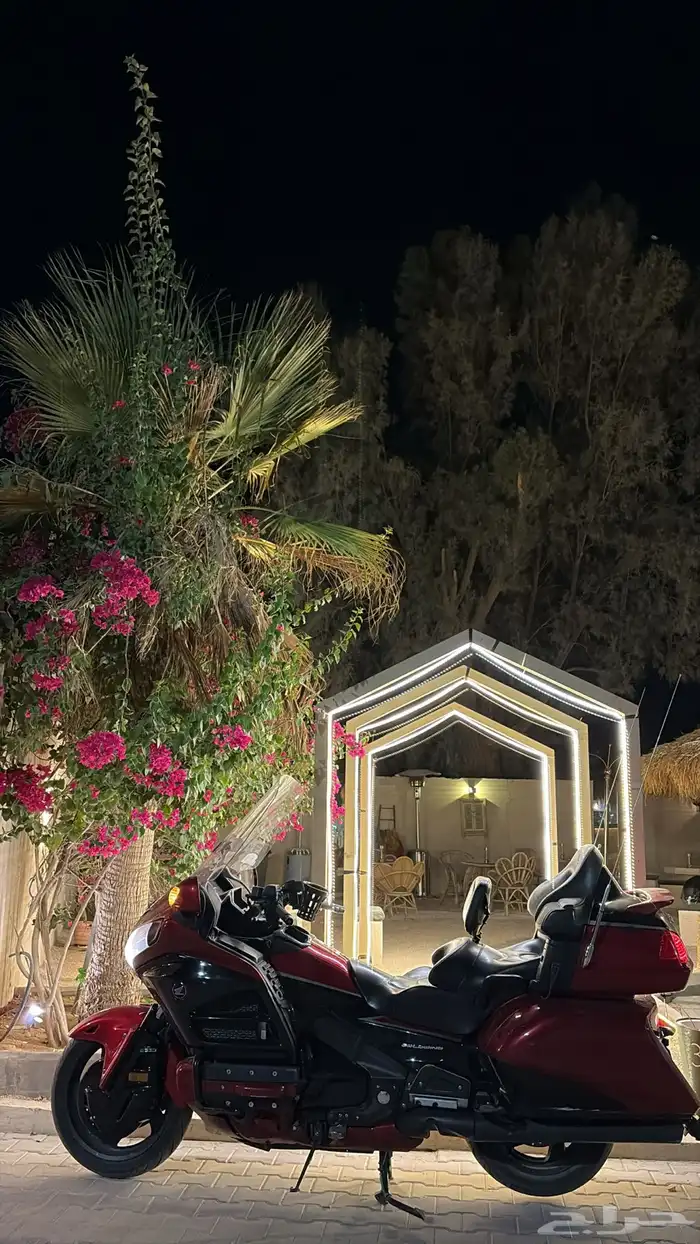 قولد وينق 12