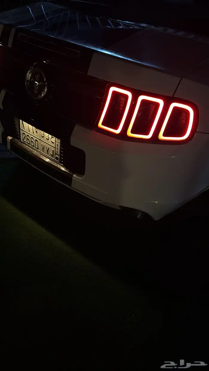 موستنق2014 1