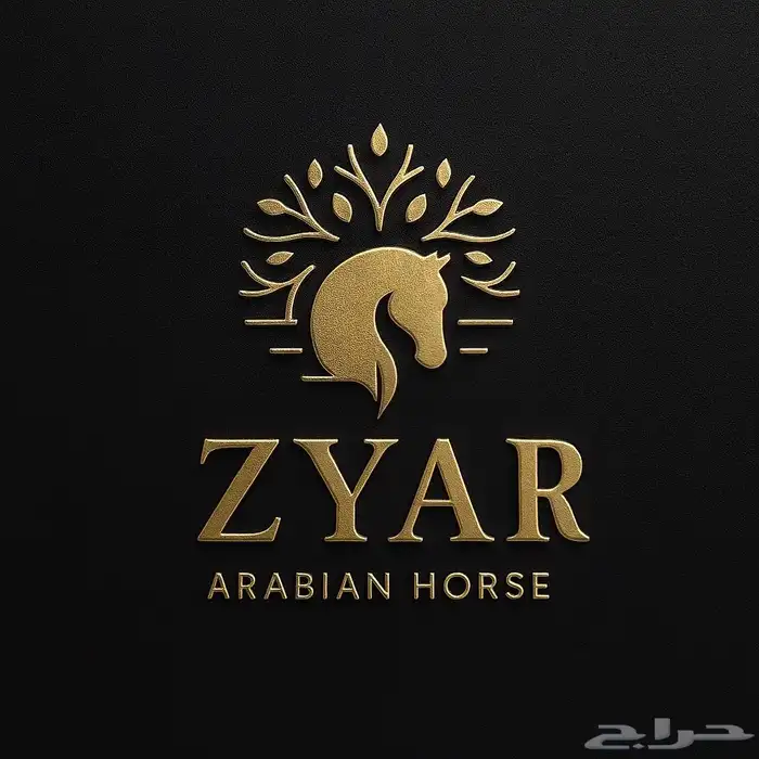 مطلوب نقل خيل من المدينة للدمام 1