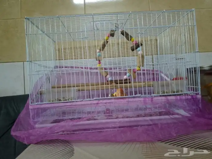 تم البيع 4