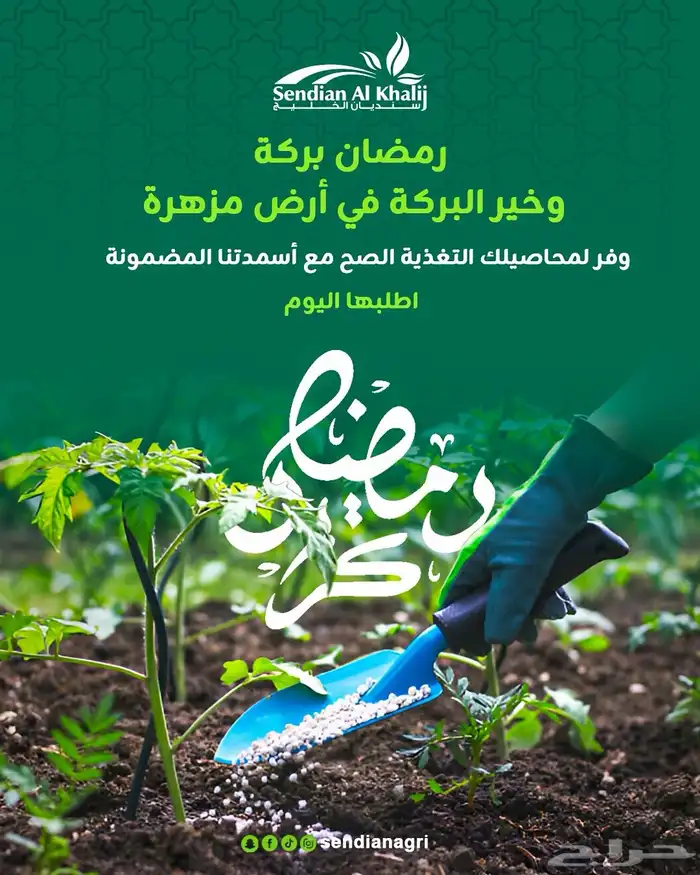 مصمم جرافيك   Graphic Designer 4