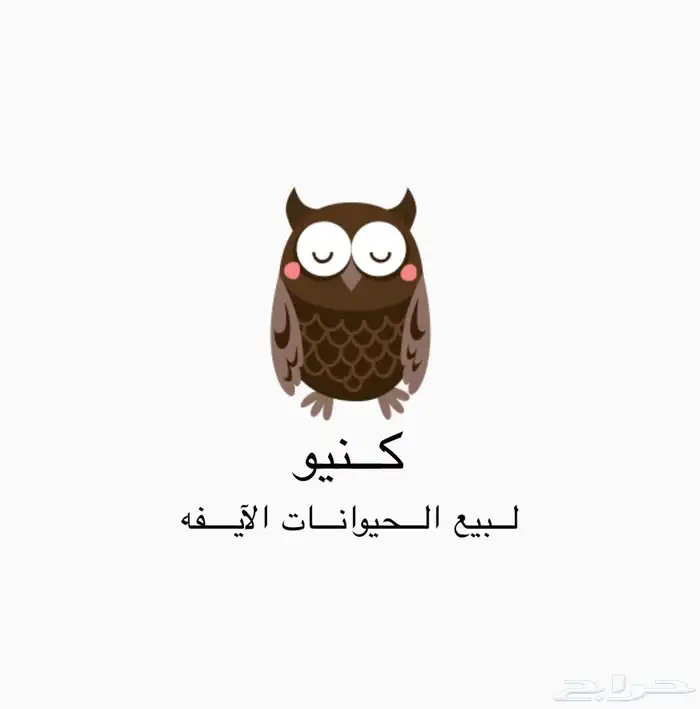 تصميم سيرة ذاتية - لوقو - كروت - فوت شوب - اعلانات - شف وصف 21
