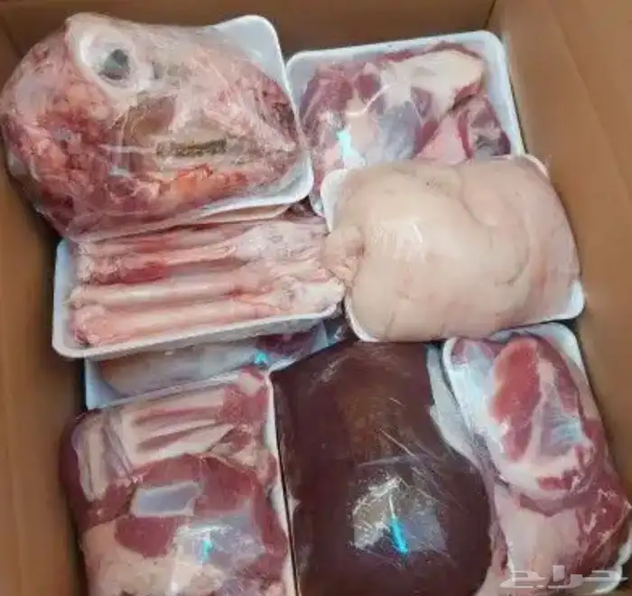 ذبايح 5