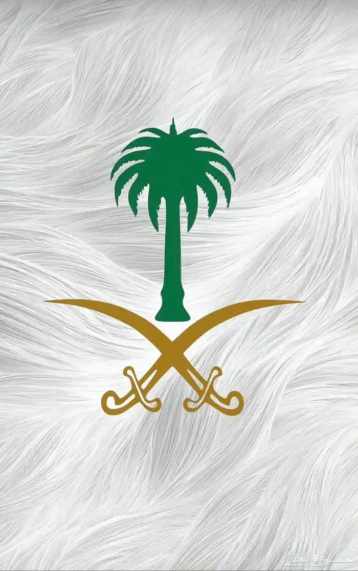 هايلكس ماشيه للجنوب 0