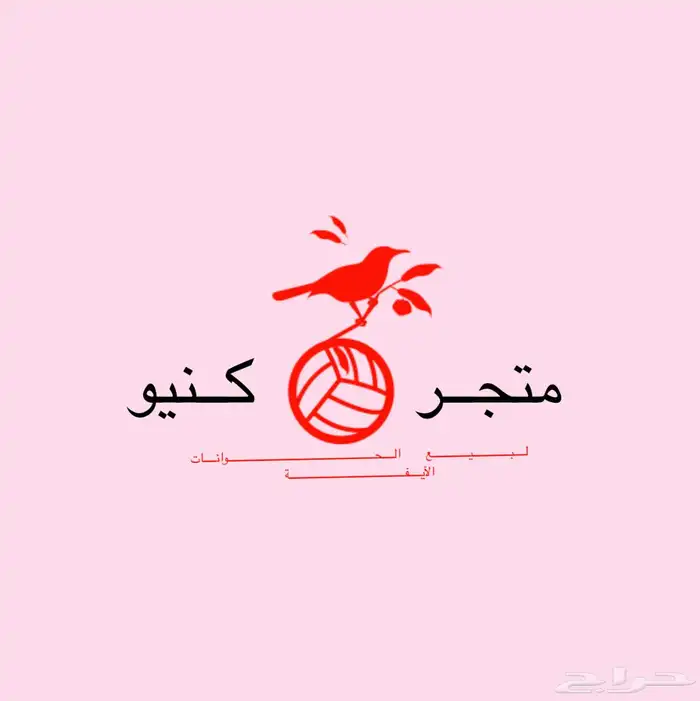 تصاميم سيرة ذاتيه - لوقو   شعار - كرت - فوت شوب - شوف الوصف 5