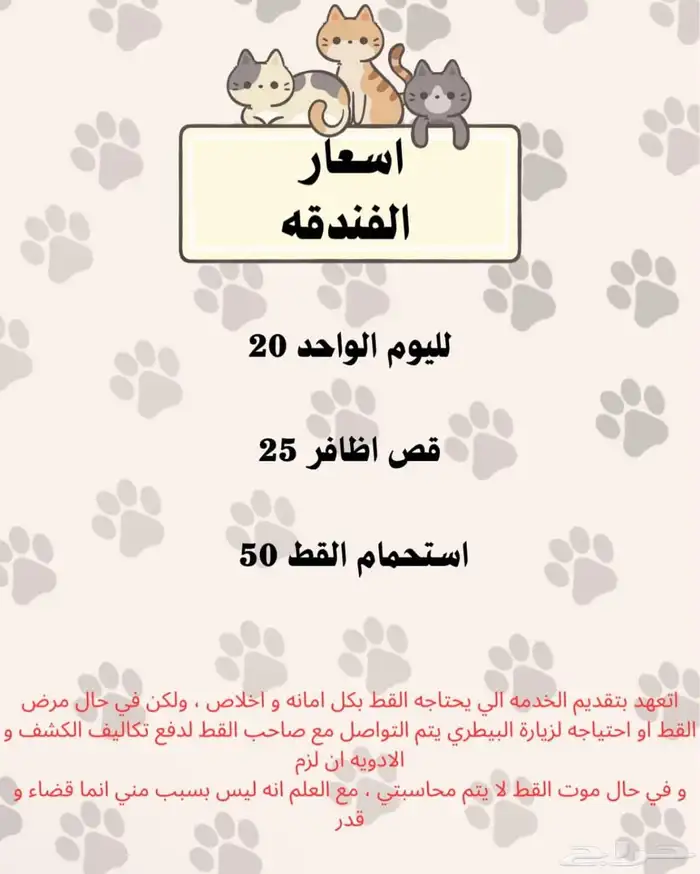 فندقه قطط وطيور 0