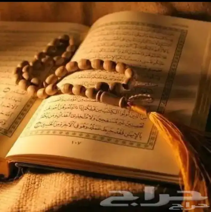 معلمة قراءن أون لاين تأسيس و تعليم القراءن البنات و النساء 2