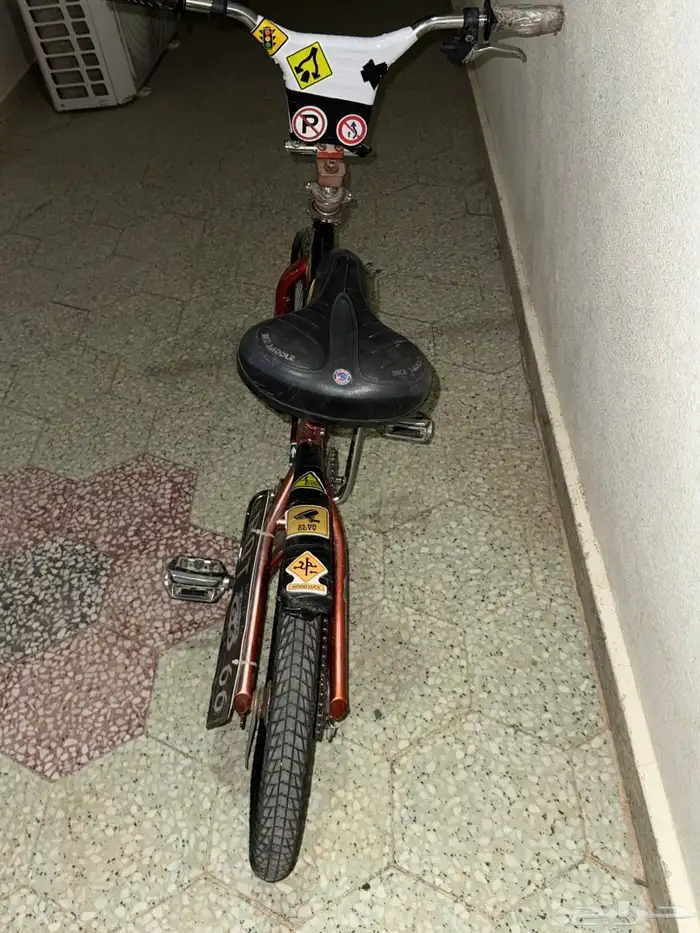 سيكل كوبرا نظيف 1