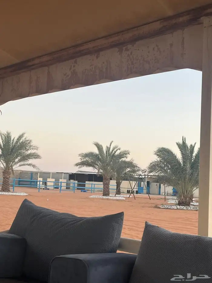 اسطبل ومربط هيبه لتدريب والتعليم   عسف ايواء 4