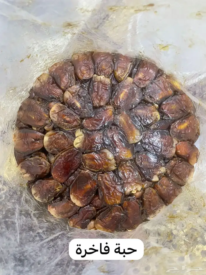 تمر برني 3