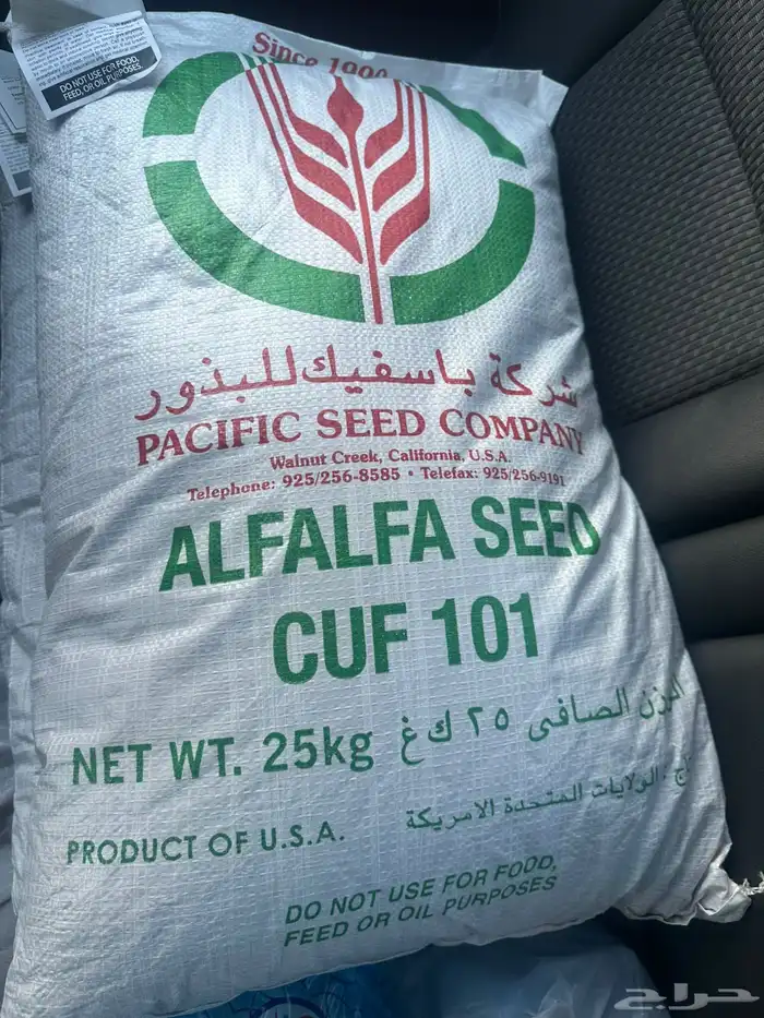 بذور برسيم باسفيك امريكي ك101 0