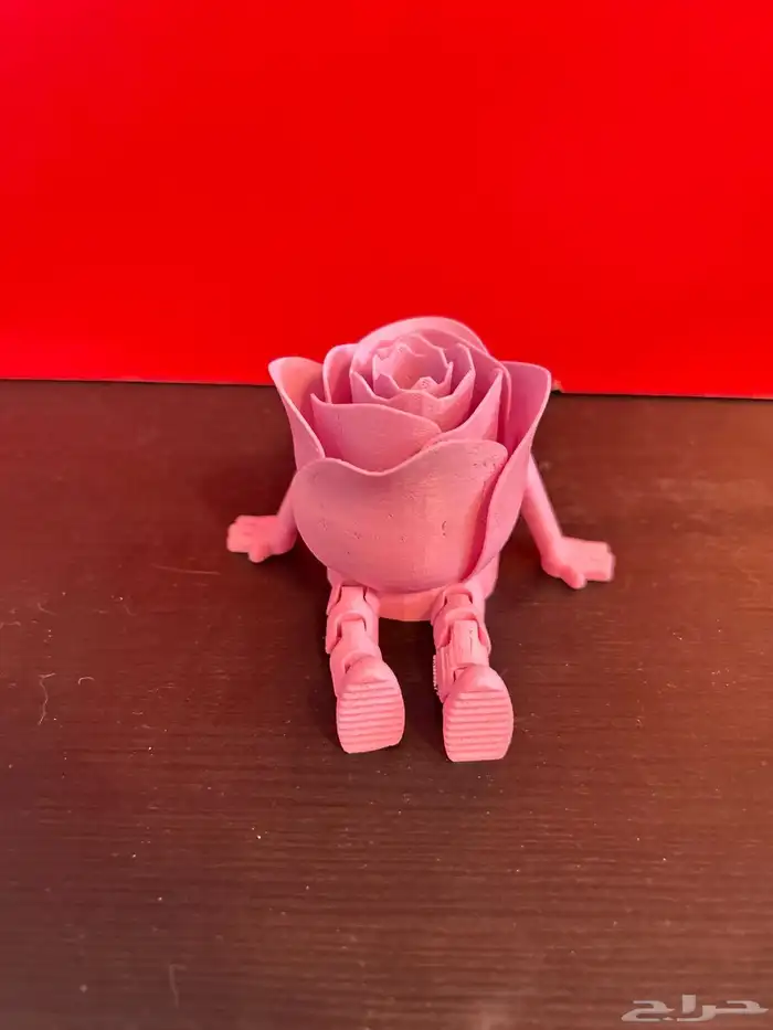طباعة 3D وخدمة التصاميم الخاصة 3D Printing 20