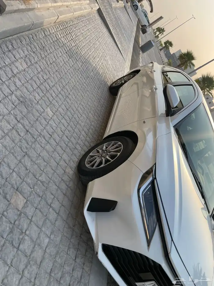 يارس 2023 Y 0