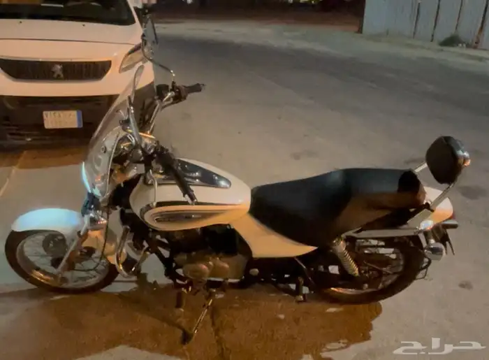 Bajaj Avenger 220 cruise 1