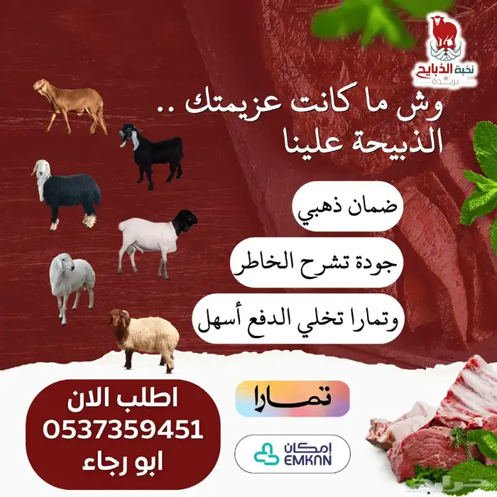 للبيع جفره ذبيحه شرط طيبه فوق 6 شعور 1