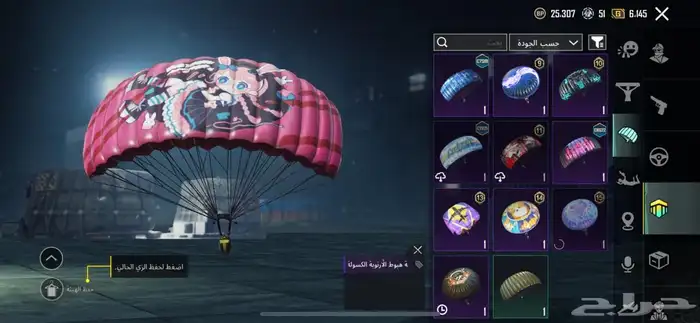 حساب ببجي 13