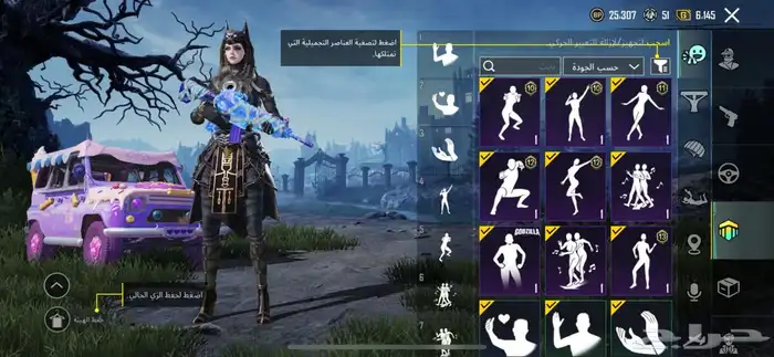 حساب ببجي 11
