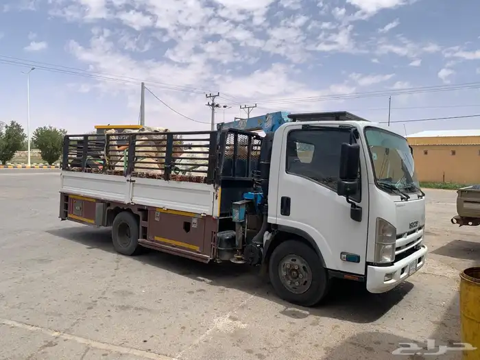 دنه ونش لنقل الابل بقبه 0