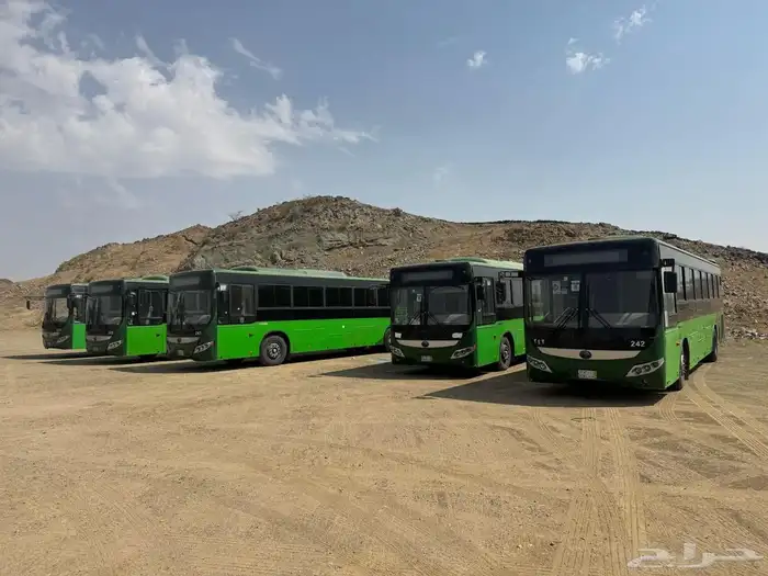 باص 3