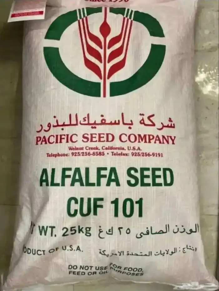 بذور برسيم أمريكي 1