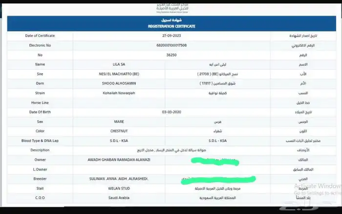 فرس واهو مكس 1