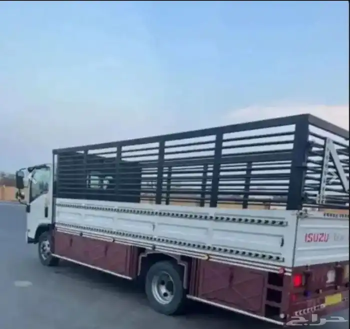 دينا نقل عفش دينه نقل أثاث دنه نقل 1