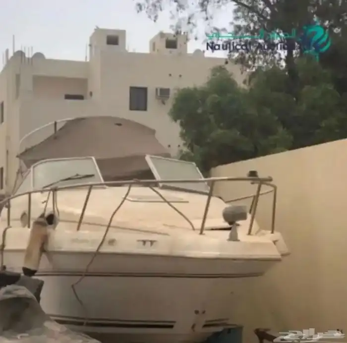 مني يخت امريكي 0