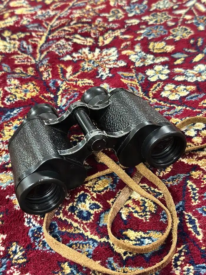 دربيل سايز عين الذيب 1