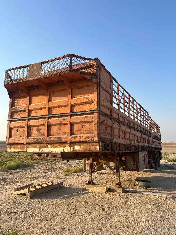 تيدر 4