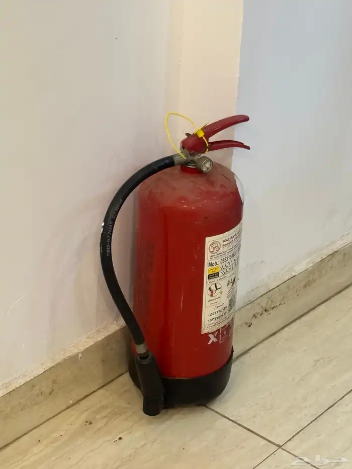 محل بطاطس للتقبيل 14