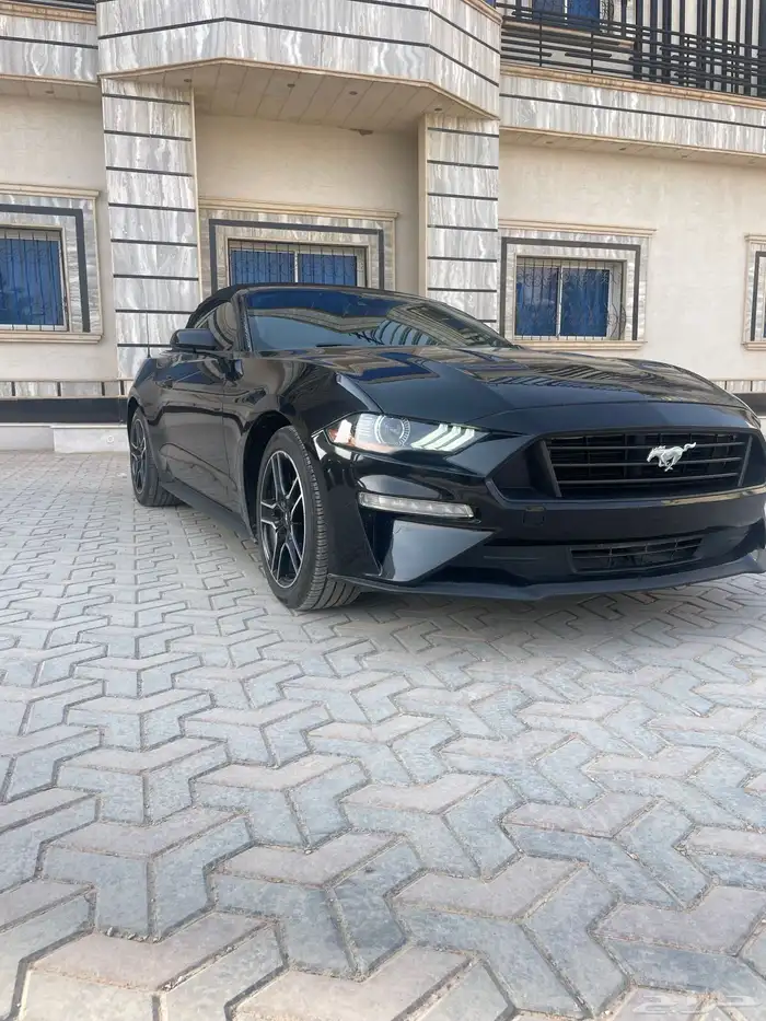 موستنج كوبيه كشف2022 فل كامل 2