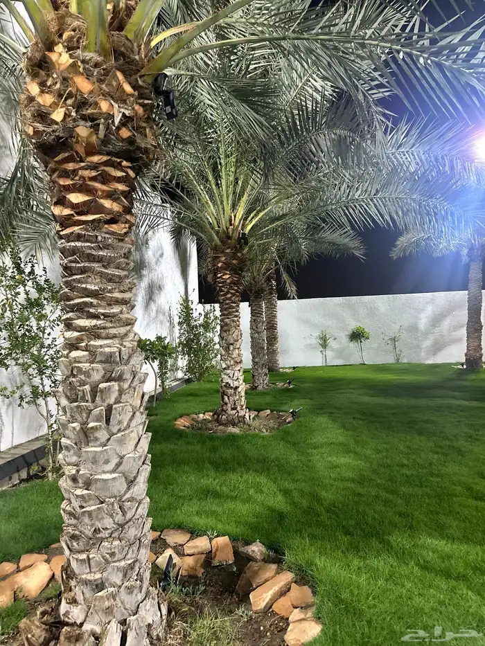 مجالس للاجار اليومي للمناسبات الدمام الفرسان 23