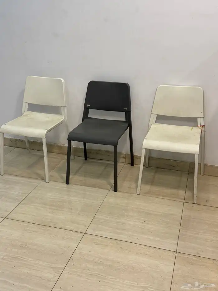 محل بطاطس للتقبيل 21