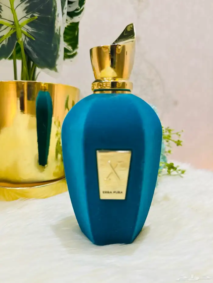 مملكة العطور عطورات تستر اصلية جرب وصدقني راح تكون زبون 12