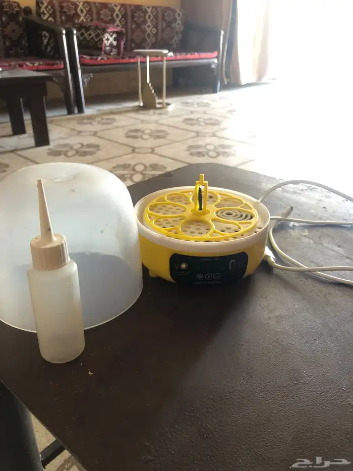 فقاسه دجاج 0