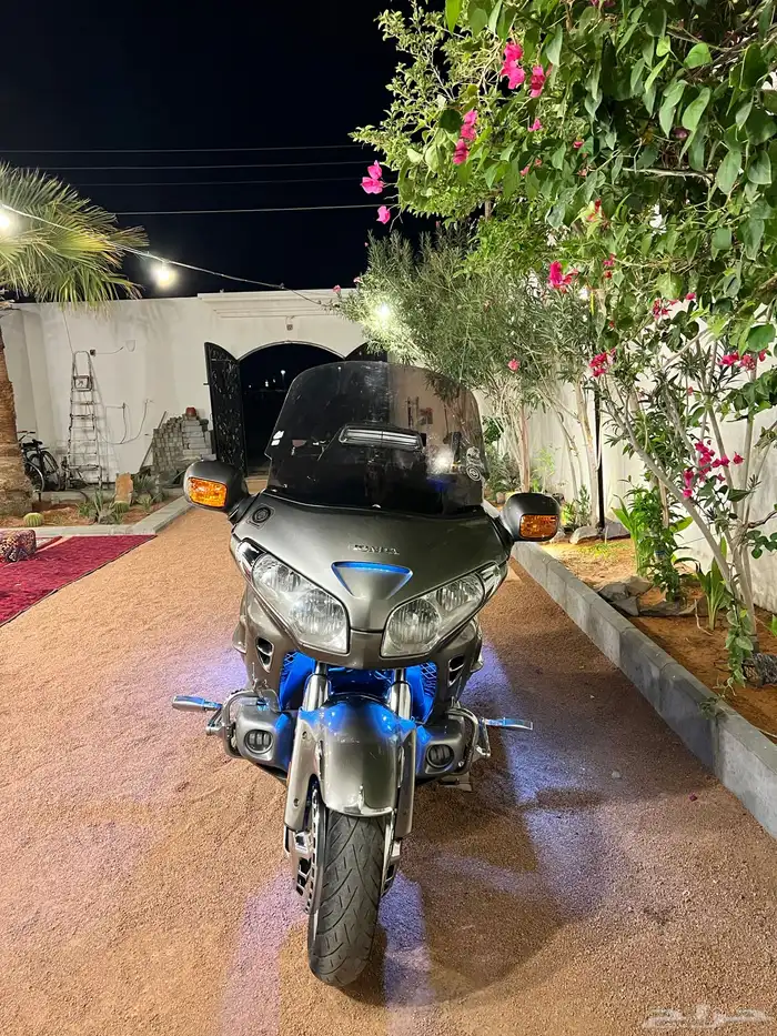 قولد وينق نظيف للبيع 0