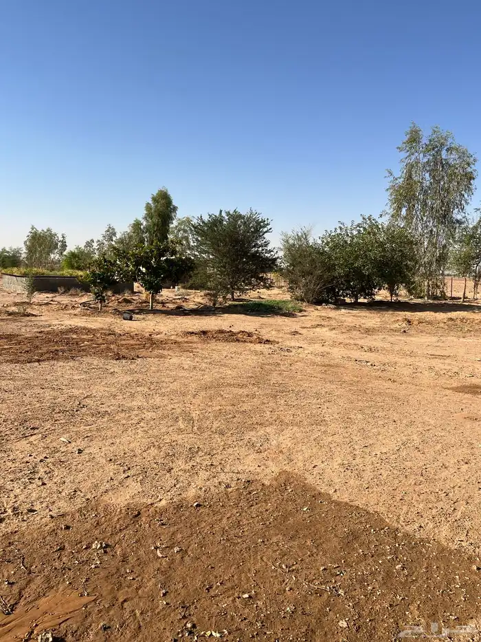 مزرعة للإيجار 17