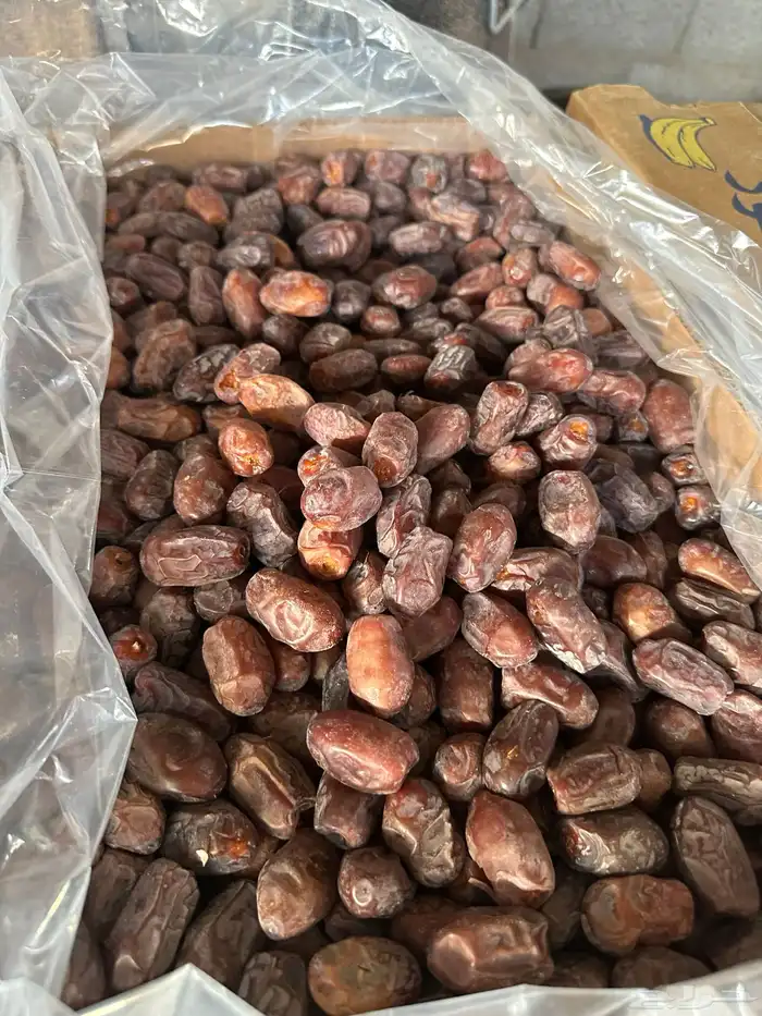 خضري تمير 3