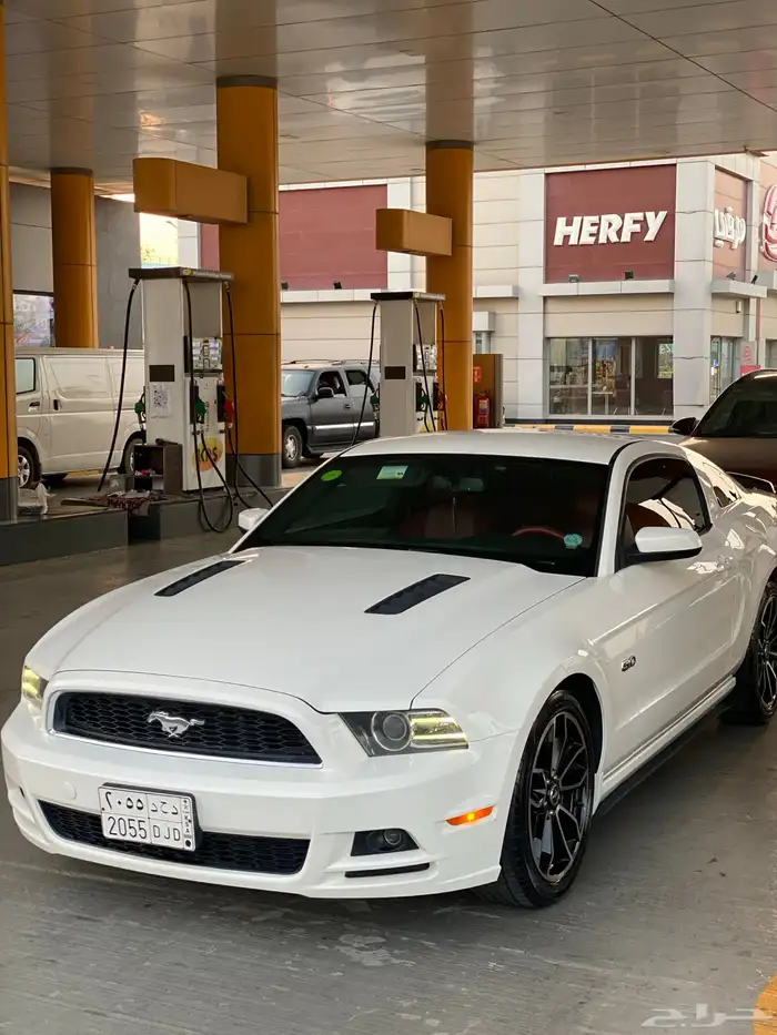 مطلوب موستنج 5.0 0